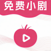 涛哥电视TV2023最新版